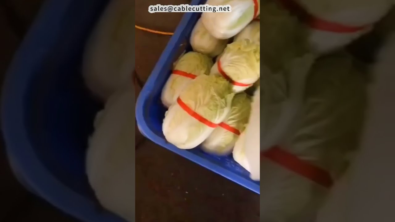 Máquina de Embalar para Macarrão, Repolho e Luvas | Equipamento para Serviços de Alimentação #fábrica #máquina #DIY