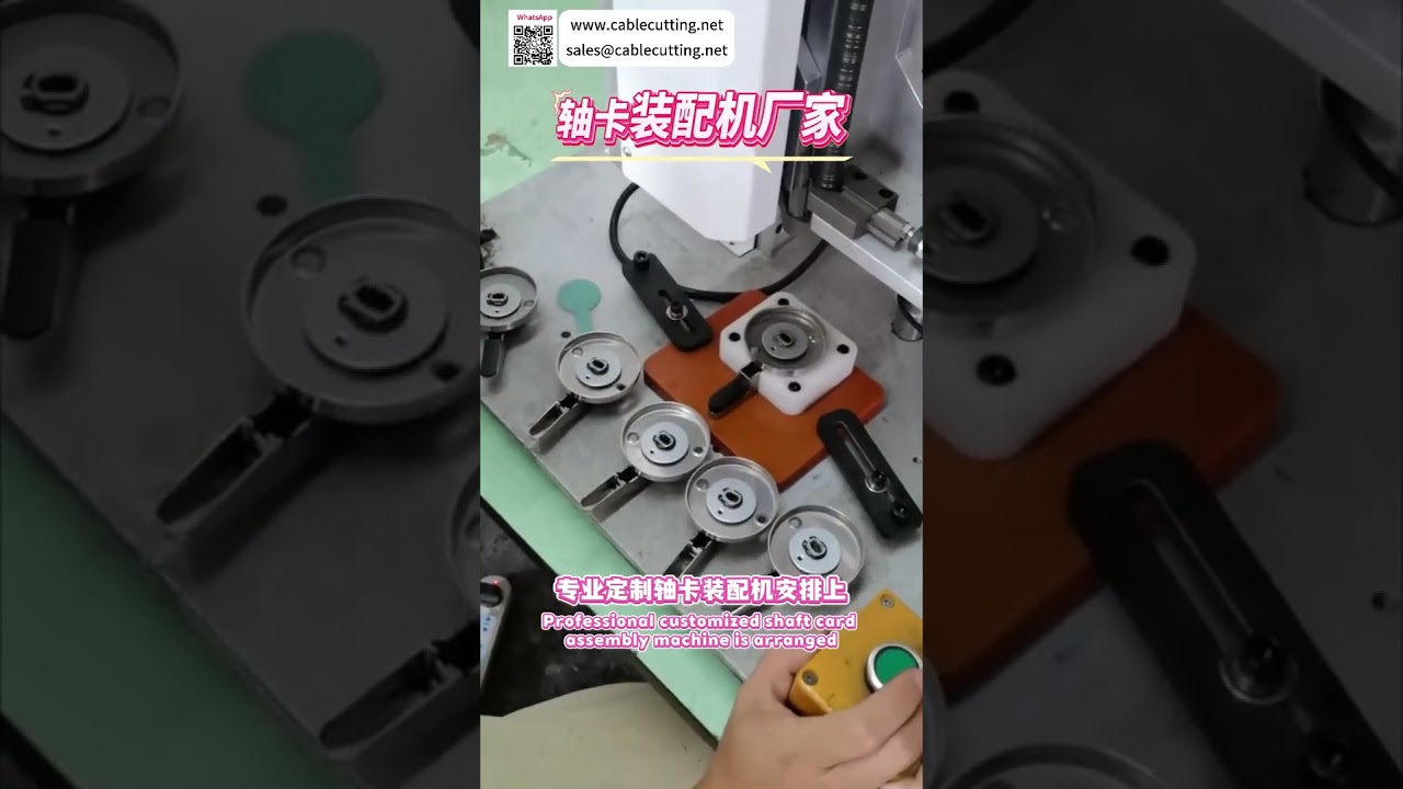 Máquina de Montagem de Anel Elástico de Eixo Fabricante Soluções Personalizadas de Equipamentos Automatizados de Precisão - Shorts