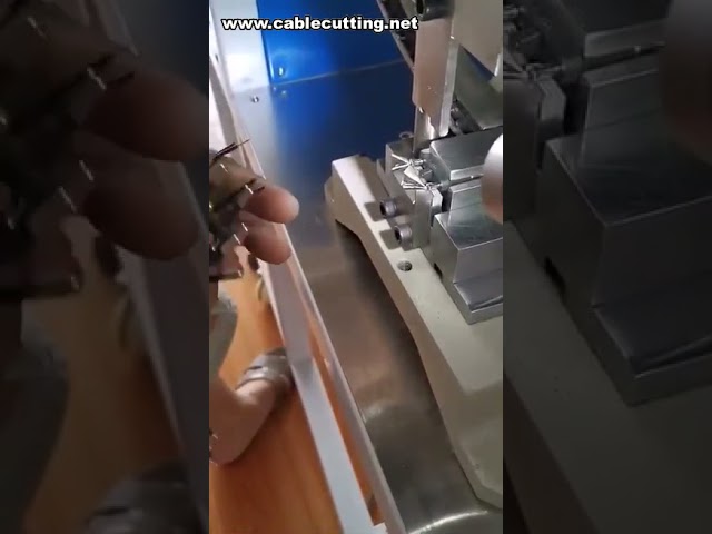 Máquina de Crimpagem Semi-Automática para Plugue 2 Pinos EU – Eficiência e Precisão