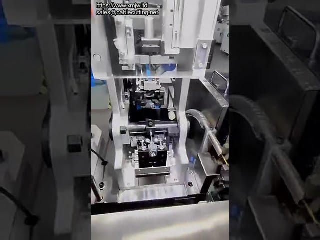 Máquina Automática de Crimpagem de Terminais com Cabeça Dupla e Inserção de Plugue Impermeável