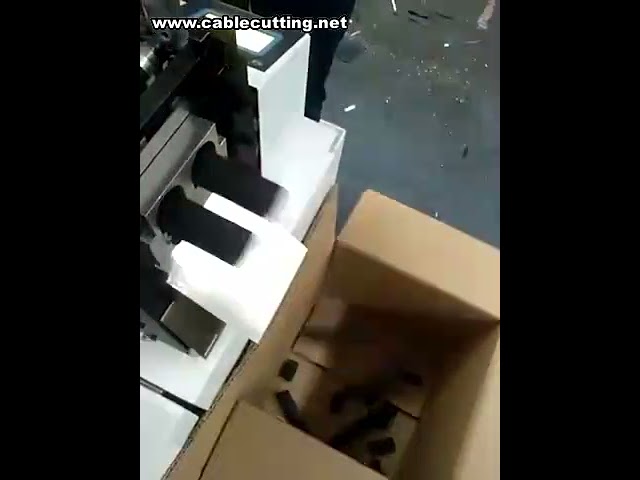 Máquina de Corte de Elásticos Automática - Preço e Eficiência Industrial