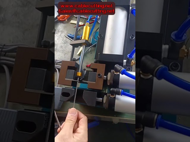 Jogo de 2 Lâminas para Máquina de Decapar Cabos Pneumática 305 310 315