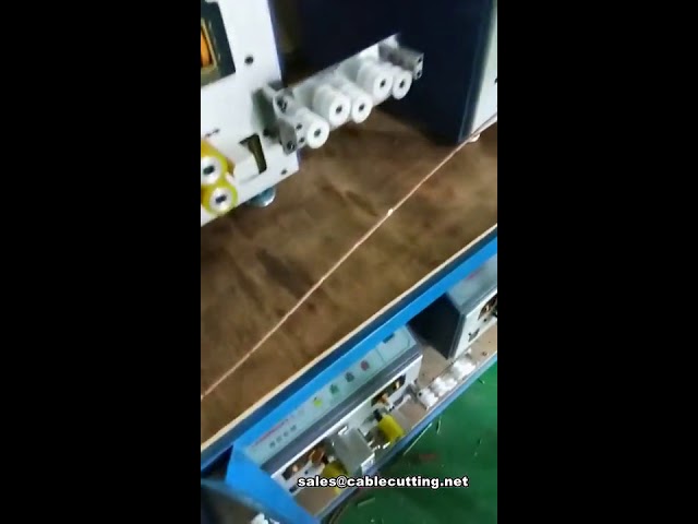 Máquina Automática de Decapagem Intermediária – 12 Seções para Máxima Eficiência