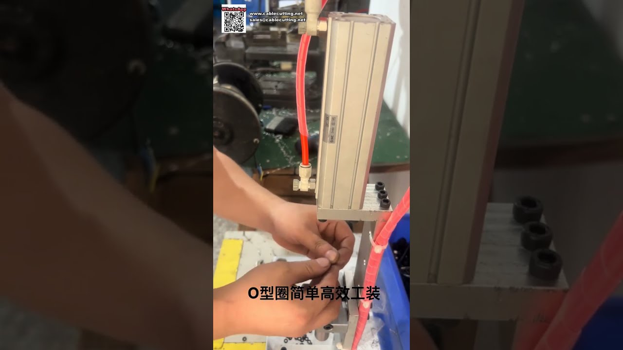 Máquina Automática de Montagem de Anéis de Vedação e Equipamento de Molde de Precisão - Shorts