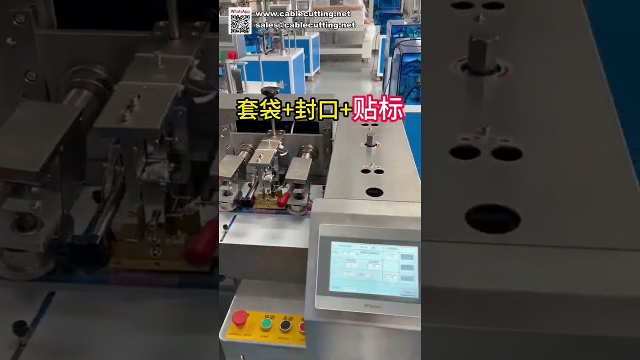 Solução Automática de Embalagem: Máquina de Ensacamento, Selagem e Etiquetagem em um Único Sistema