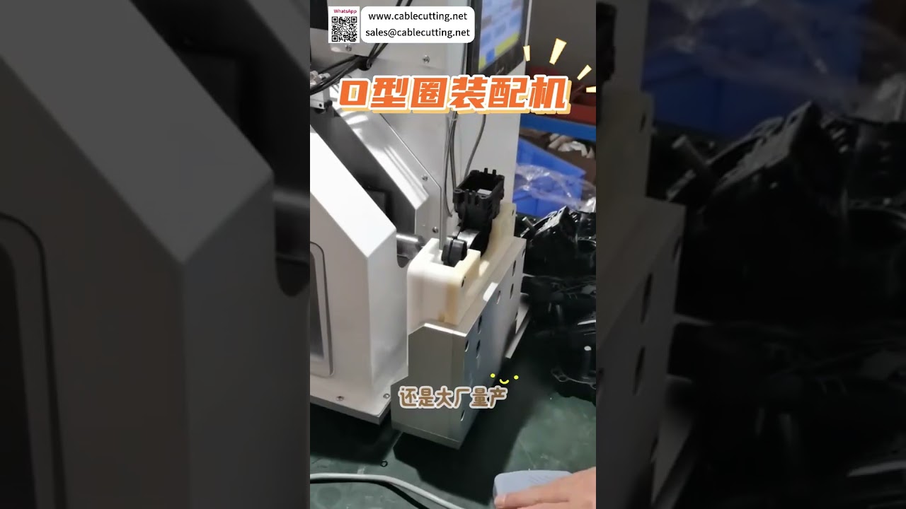 Máquina de Montagem de Anéis O de Alta Qualidade | Equipamento Personalizado para Fabricação Automatizada de Anéis de Vedação