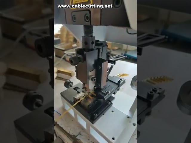 Máquina de Crimpagem de Terminais Conectores | Equipamento para Crimpagem de Cabos e Terminais de Cobre
