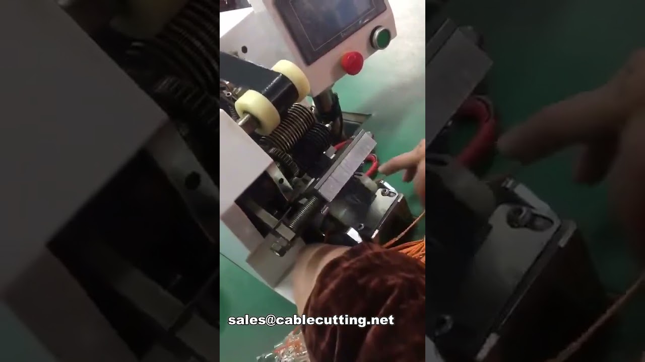 Máquina de Encapsulamento de Chicotes WPM-2-40 - Automação Industrial