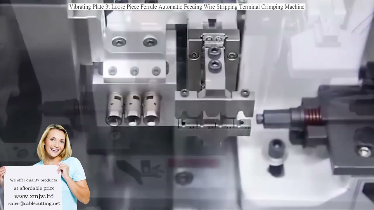 Máquina de Cravação Automática de Ilhós com Alimentação Vibratória 3t - Decapagem e Crimpagem Integradas