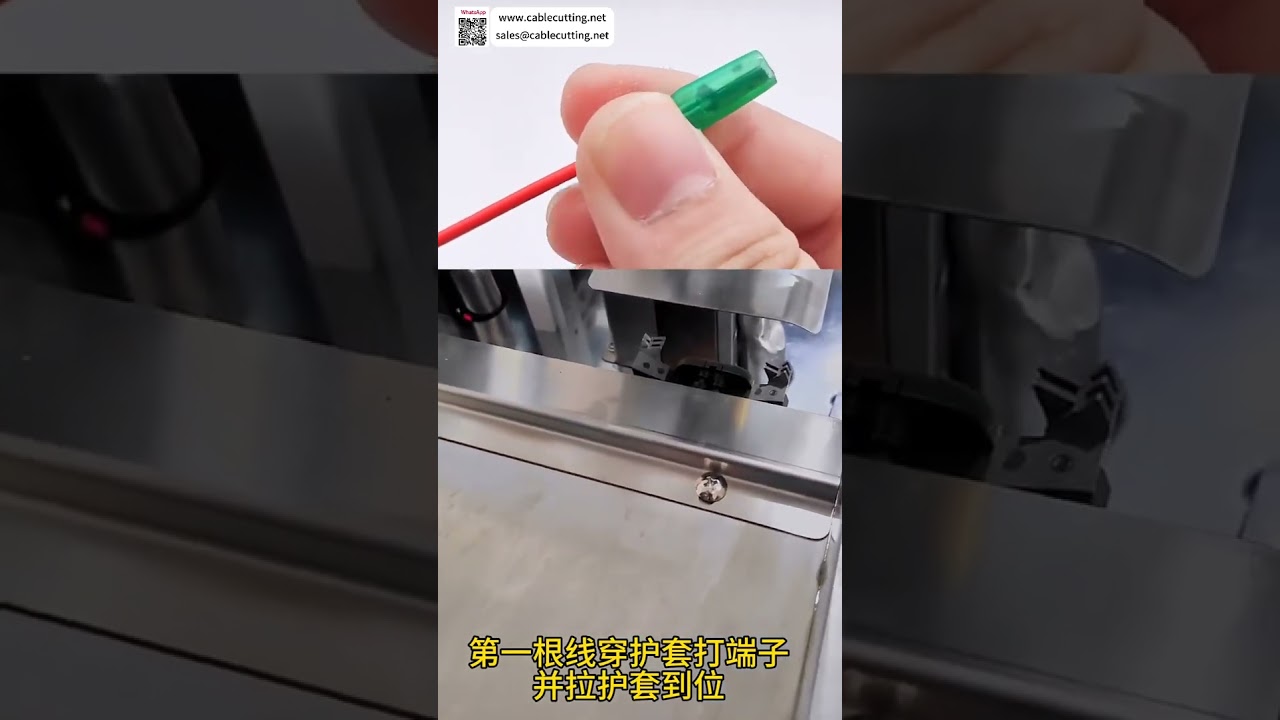 Máquina Automática de Crimpagem de Fio Duplo com Inserção de Alojamento de Cabeça Única para Chicotes Elétricos