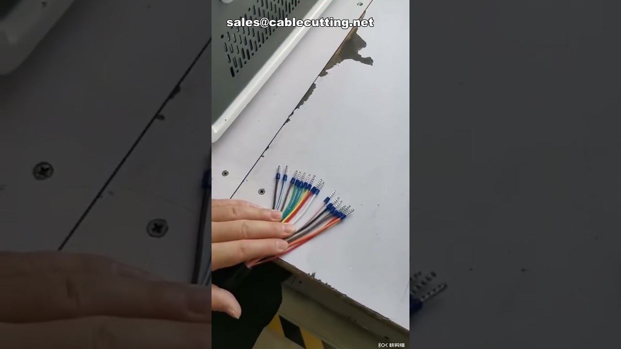 Máquina de Crimpagem de Terminais com Anilha Isolada, Semi-Automática para Fios e Cabos