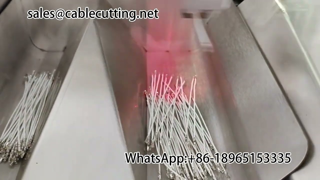Máquina de Terminação de Dupla Cabeça #Modelo Self-Service #Automação Industrial #Máquina de Decapagem