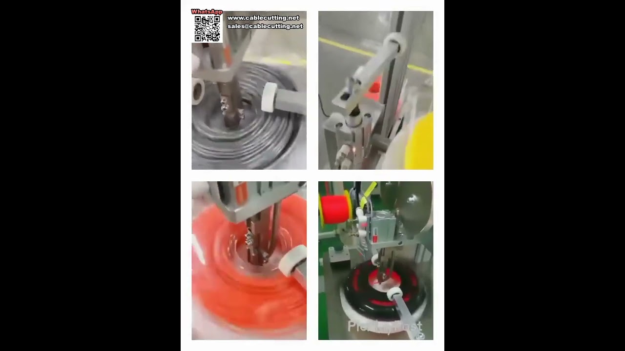 Máquina de Embalagem Blister Totalmente Automática para Bobinas de Linha de Aparador de Grama (por Libra)