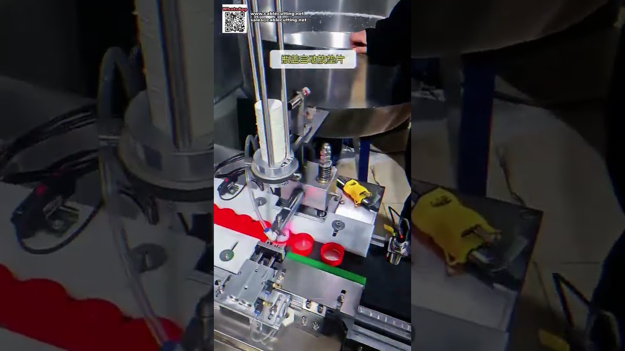 Máquina Automática de Montagem de Tampas e Detecção de Metais para Indústria Alimentícia - Shorts