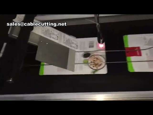 Máquina de Rotulagem Automática para Sacos Planos e Plásticos | Etiquetadora Industrial
