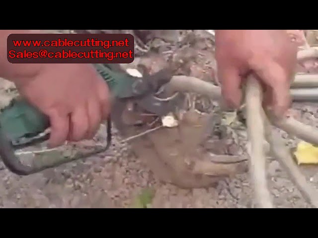 Tesoura de Poda Pneumática para Galhos de Árvores – Ferramentas de Jardim e Bonsai com Cabo Antiderrapante
