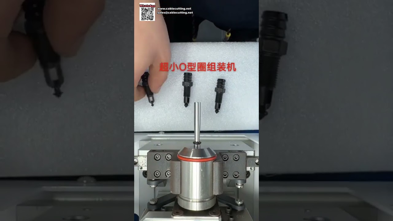 Máquina Automática de Montagem de Anéis de Vedação de Alto Volume para Produção de Componentes de Selagem de Óleo - Versão Compacta