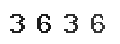 Verification Code Image